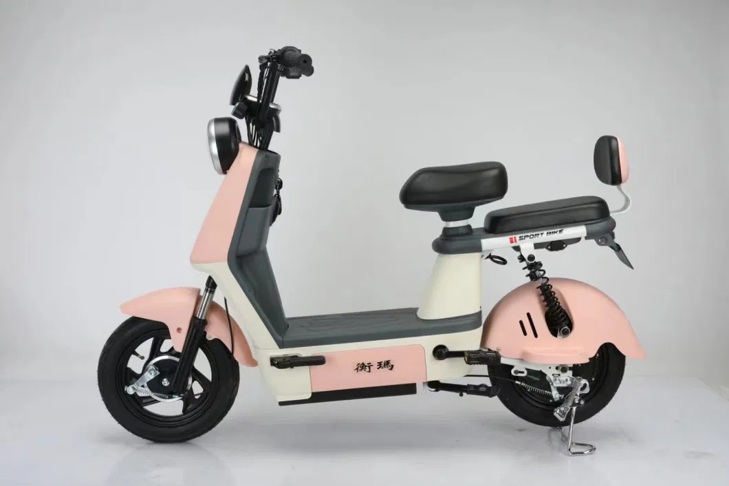 The Latest Electric Bike/Adult Two Wheeled Electric Scooter