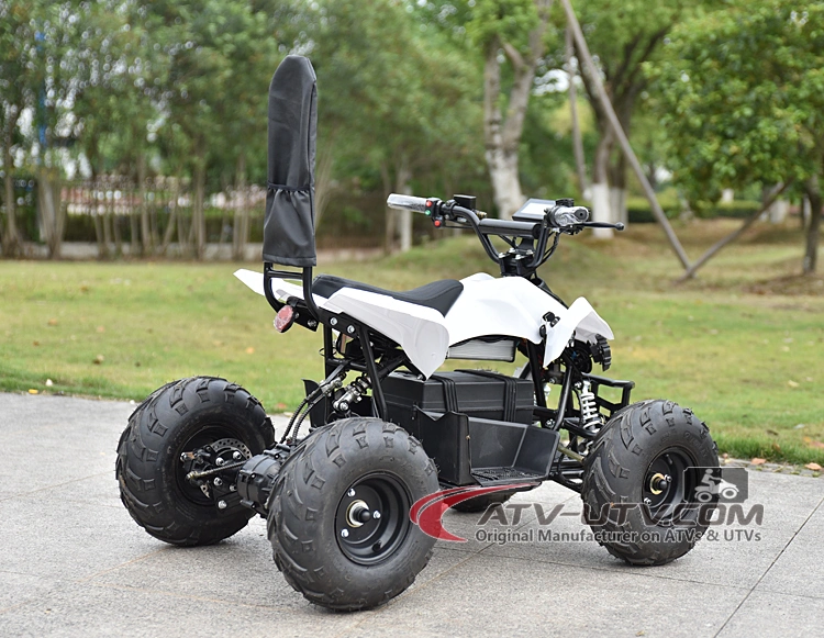 Best Price on Kids 48V 800W DC Motor Electric ATV Wheeler Quad