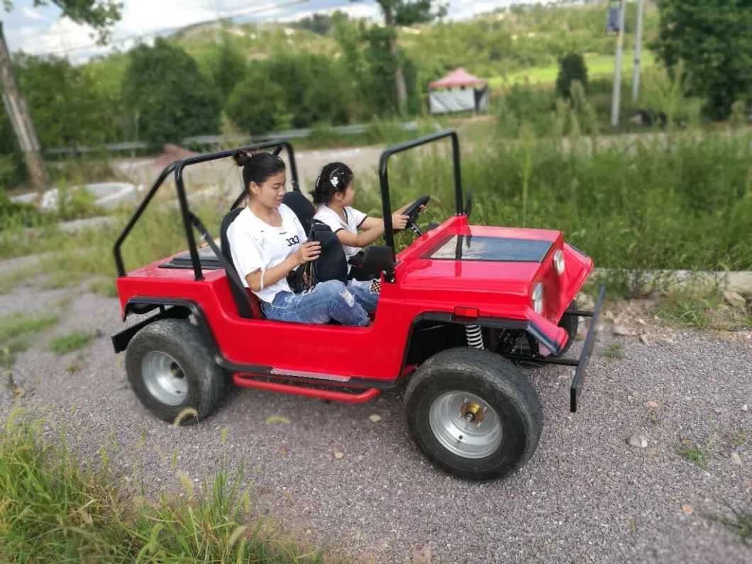 Fashion Design Chain Drive 4-Wheel Quad Bike 1000W Electric Mini Jeep