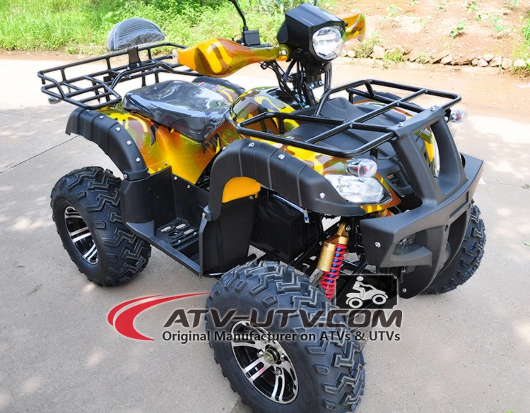 Best Selling Shaft Drive 800W/1000W 60V Adult Electric ATV