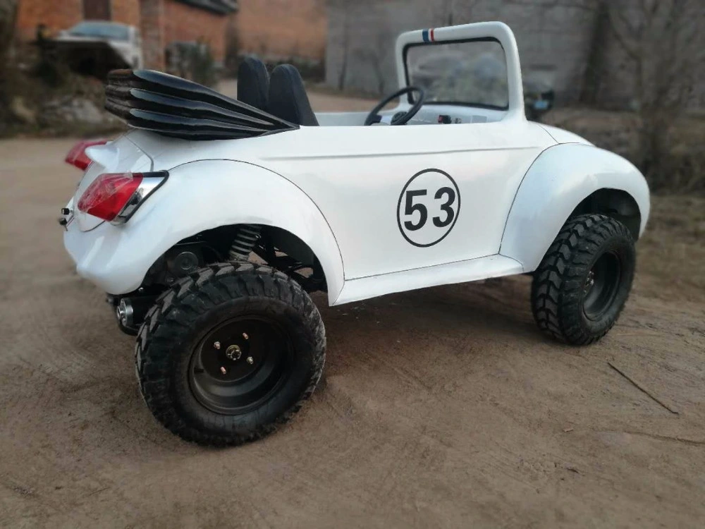 Su Yang Youth Chinese Mini Beetle 150cc ATV for Sale