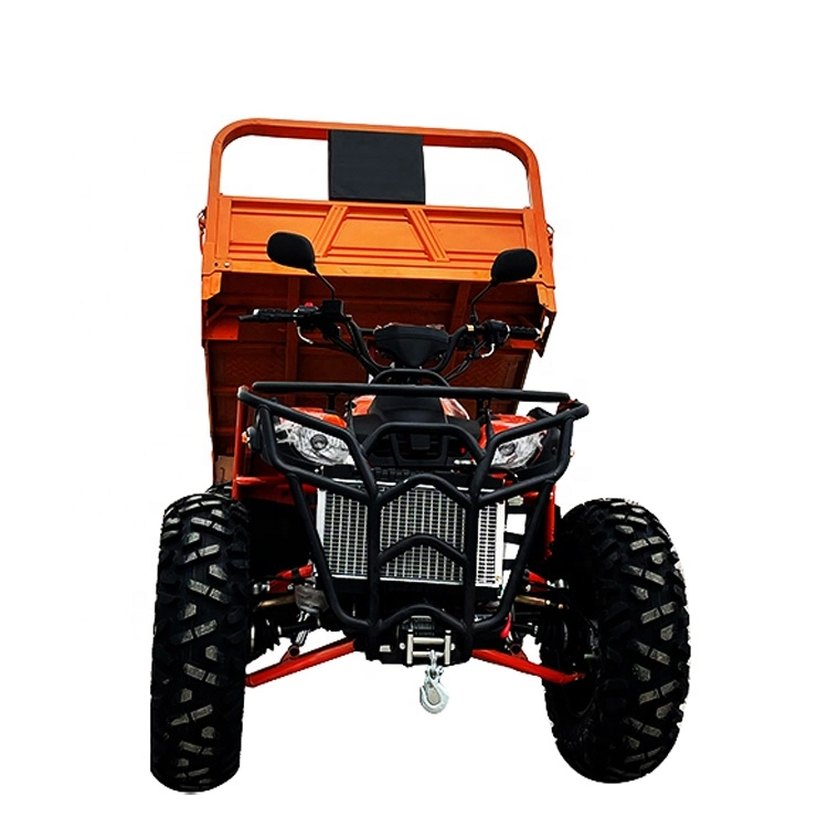 Quad Farm ATV for Adults CE Certification 4WD 300cc Farmer Car