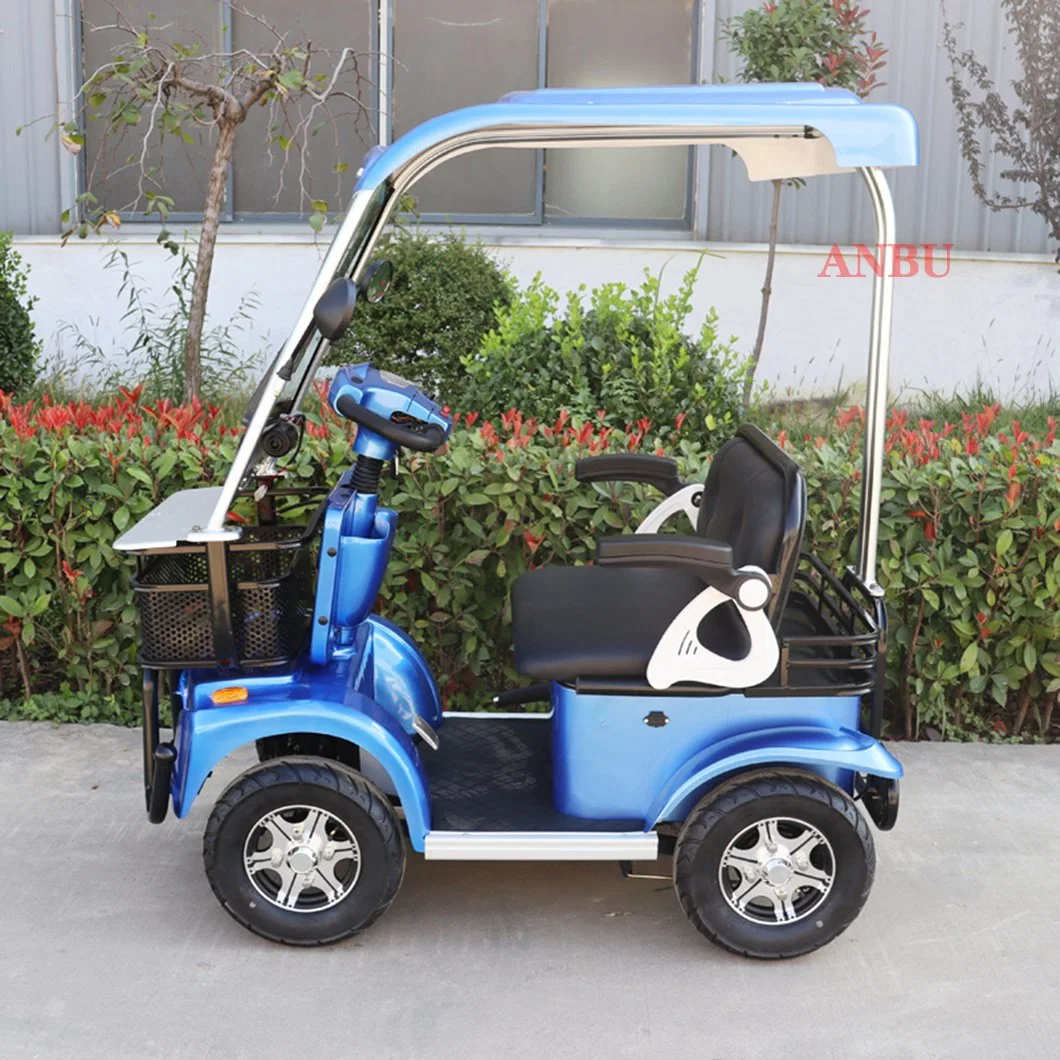 Four-Wheel Electric Car Sightseeing Car Battery 800W Motor