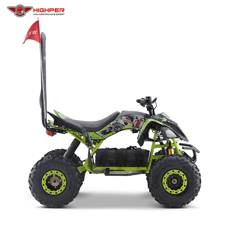 1500W 2000W Motor 60V Electric Quad Bike 4 Wheelers Adult ATV