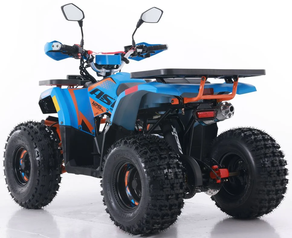 Tao Motor 2024 New Quad Bike Automatic Chain Drive 125cc ATV