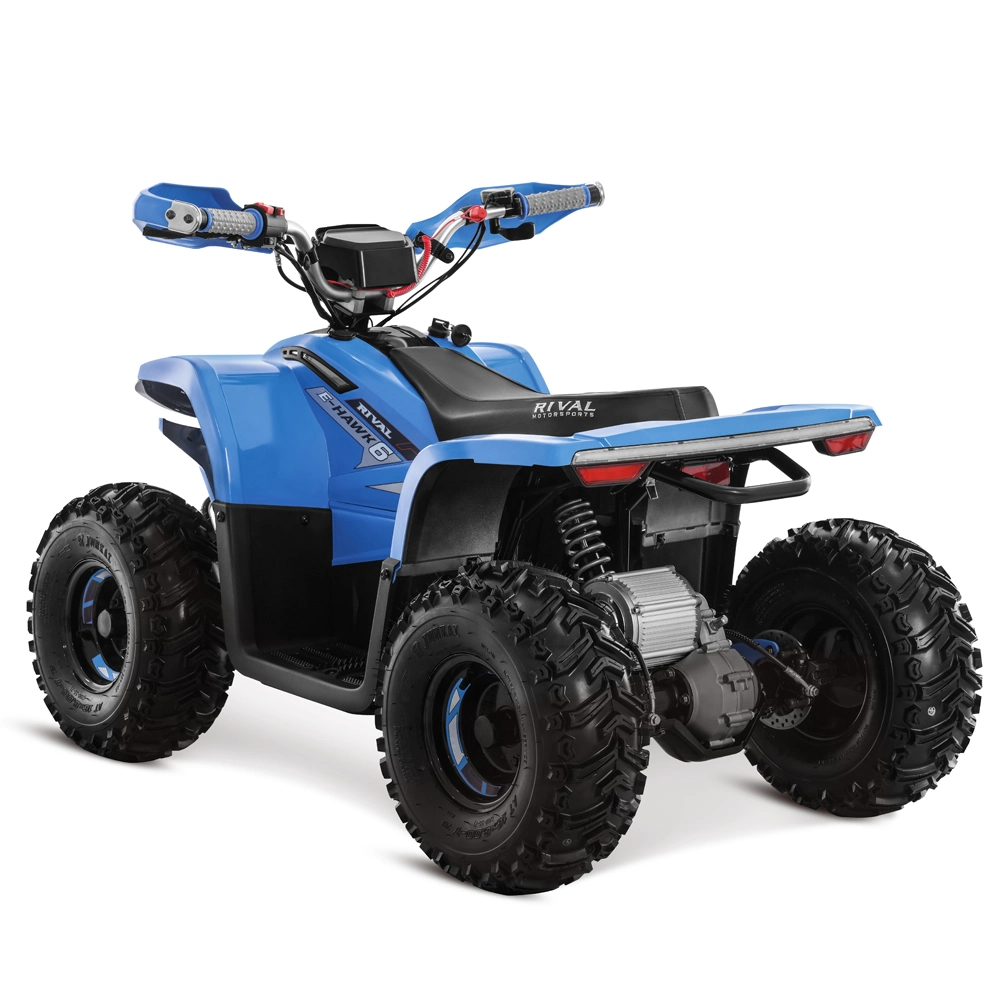 48V 1600W 4 Wheeler Quad Bike Electric ATV for Kids