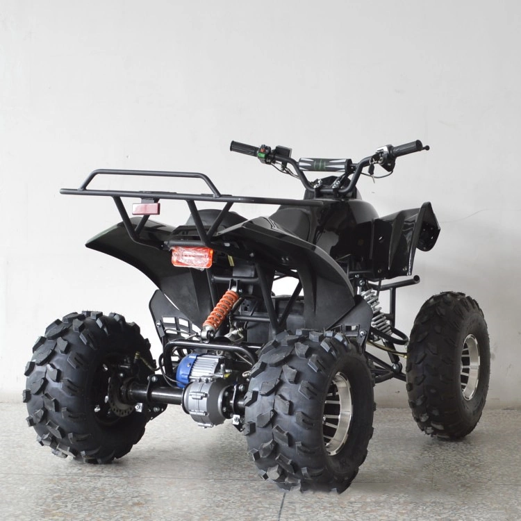 Electric ATV 1000W Quad Bike 4 Wheels Racing Motorcycle