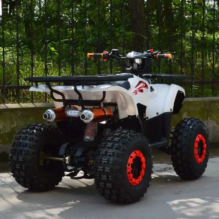 2019 New Arrival Utility Vehicle Quad Hunting ATV UTV 50cc-125cc Mini Quad
