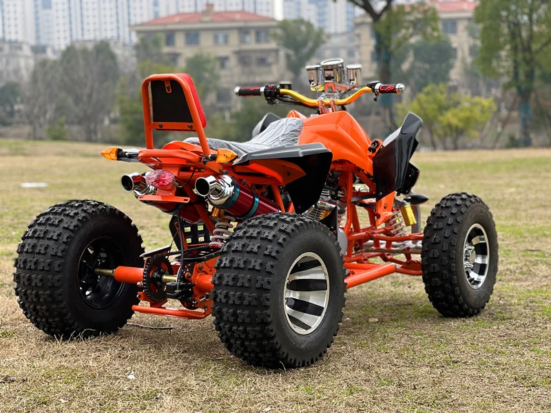 Big Tyre 250cc ATV Bike 4 Wheeler ATV Quad for Adults