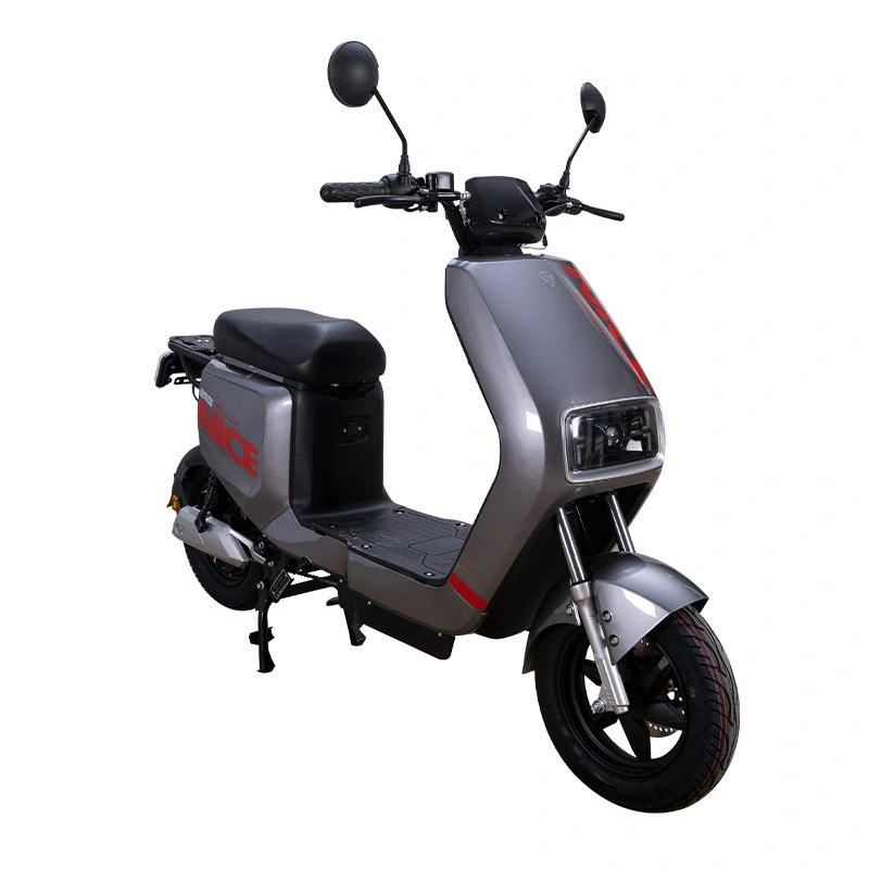 Motor Battery 4 Wheel Two Wheels off Road in Turkey Parts Cheap Foldable with Seat Mobility 2000W 60V Electric Bicycle