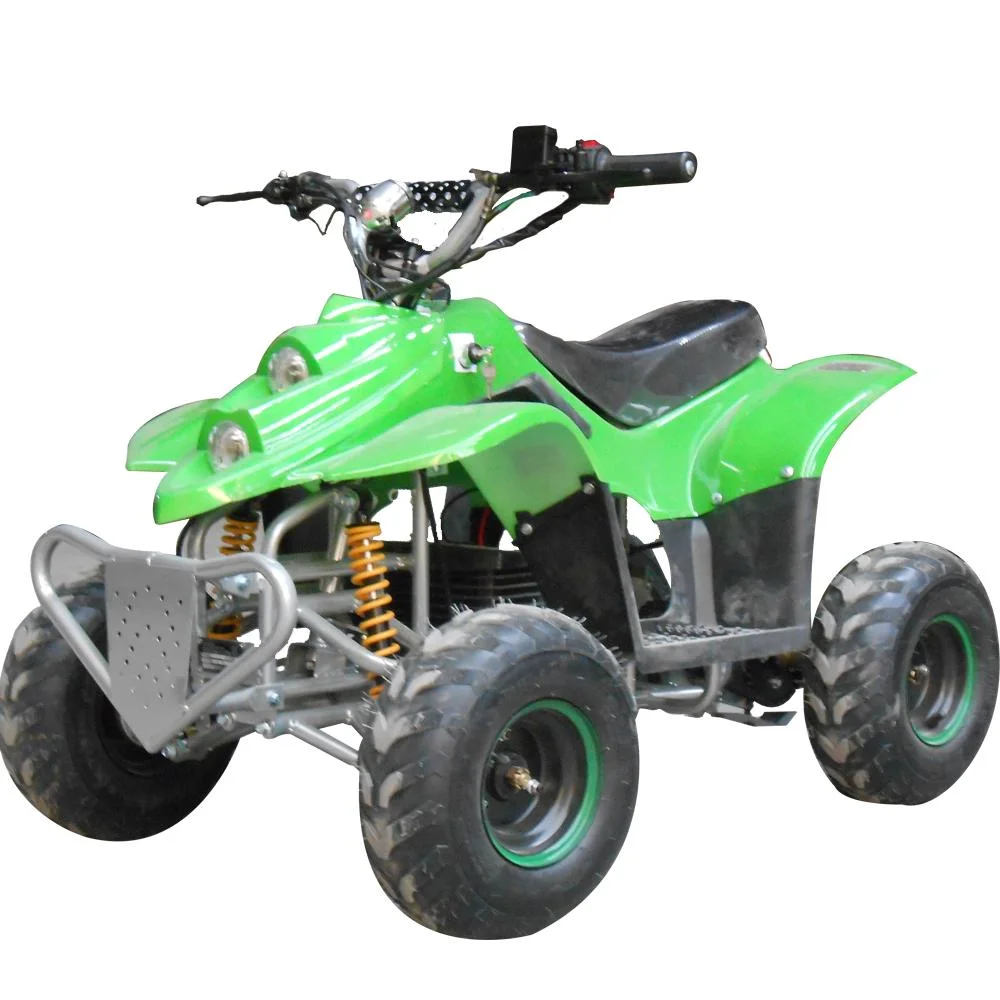 2022 Factory 800W Electric off Road Adult Motor ATV Quad Wehicle for Sale