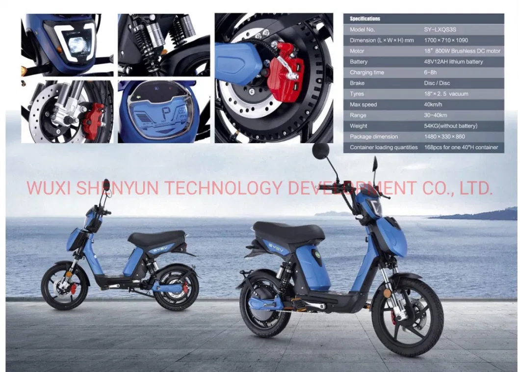 Cool Design EEC 2 Wheeled Electric Scooter Powerful 800W Electric Mobility Bike