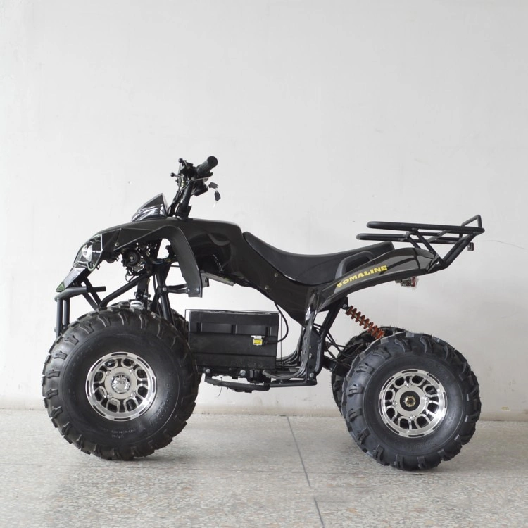 Electric ATV 1000W Quad Bike 4 Wheels Racing Motorcycle