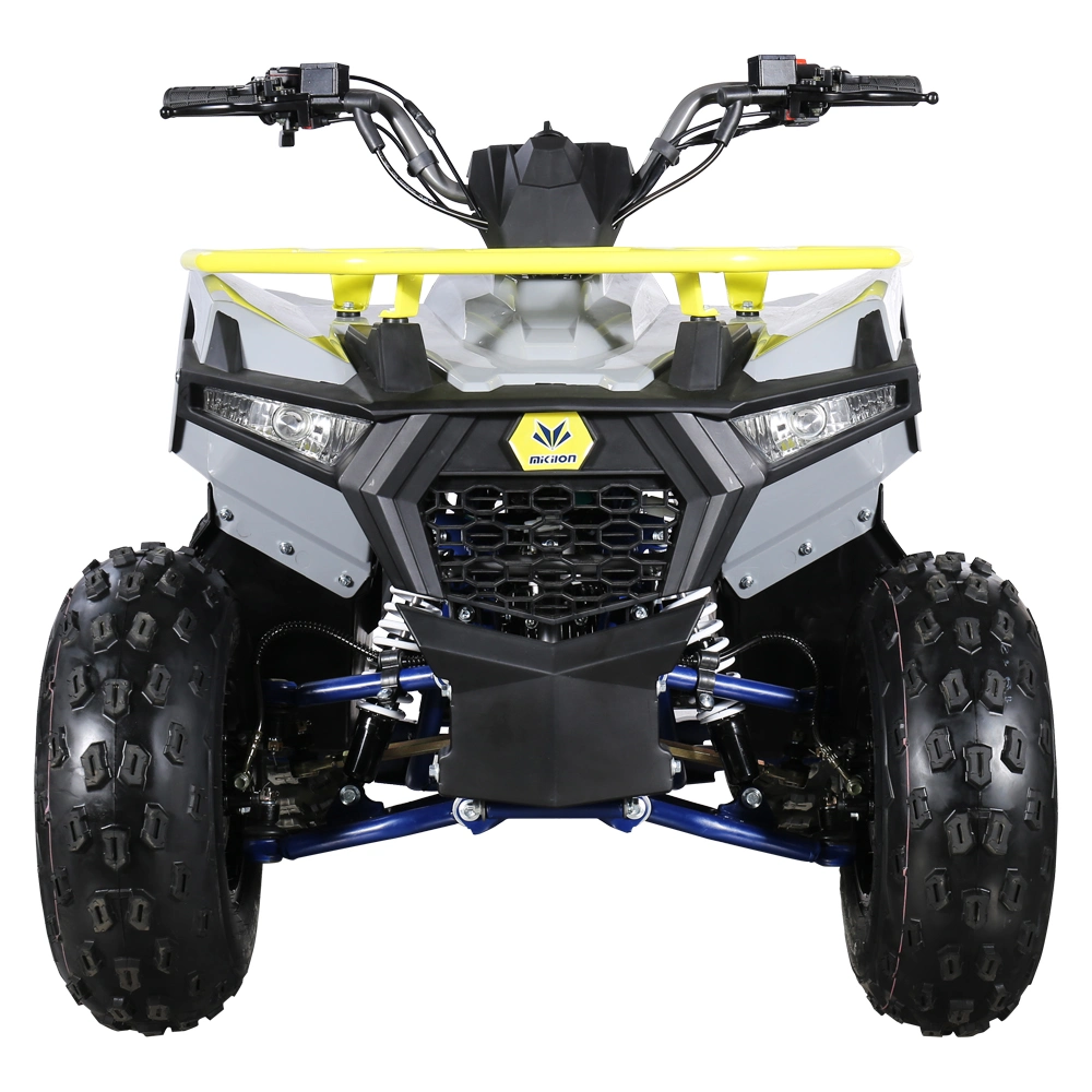 New Plastic Design 125cc Mini ATV Quad