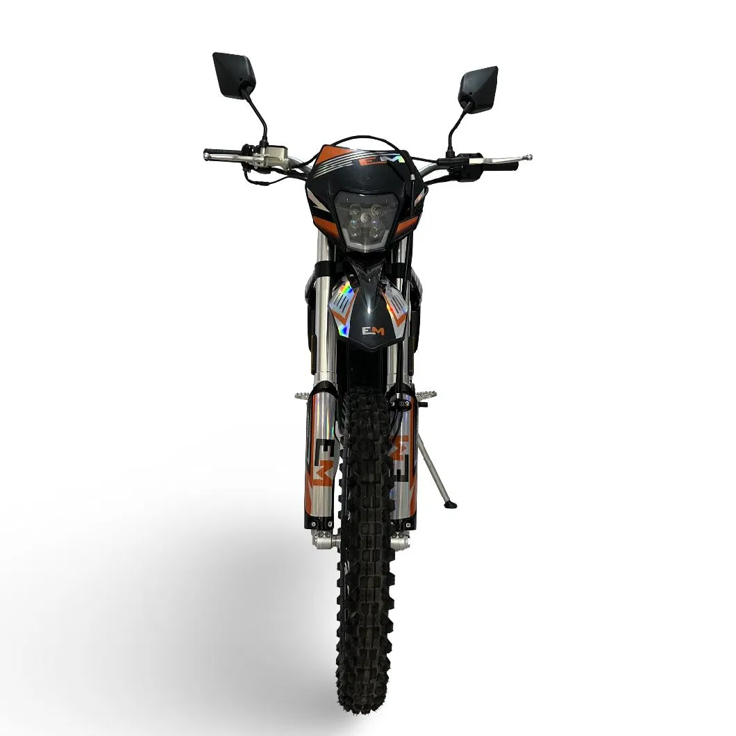 Adult Electric Motorcycle 12000W off Road Electric Motorbike Vehicle