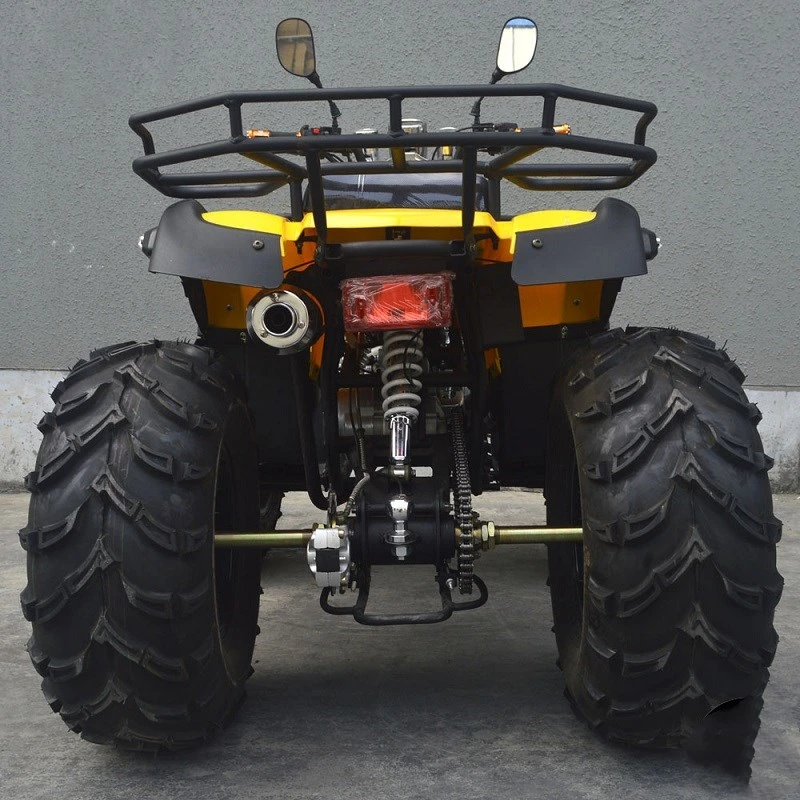 2022 New Model Automatic 200cc off Road ATV 4 Wheeler Motorcycle