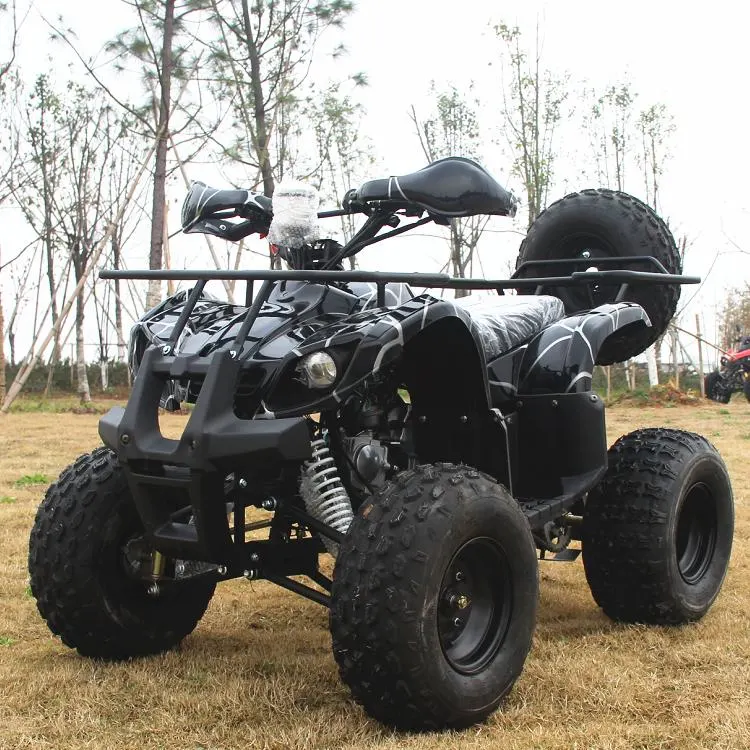 Small off-Road ATV 125cc Motorcycle 110cc Gasoline Adult &amp; Kids Four-Wheel 125cc Mini ATV
