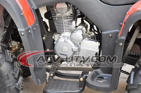 High Quality Factory OEM 200cc 250cc 300cc 400cc 500cc 4X4 Quad Bike Adult ATV