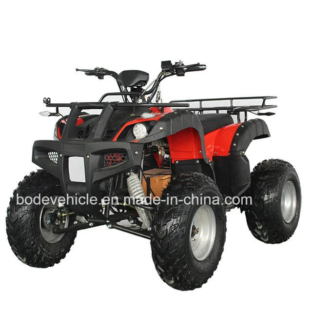 New Powered 2000W Electric ATV for Adult (MC-254)