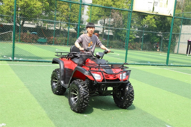 250cc Quad 125cc 150cc Bike 12 Reverse Gear 25 8 Tires for 4 Wheel 450cc Inch Rim Automatic Manual China 21X7-10 Tire 10 ATV