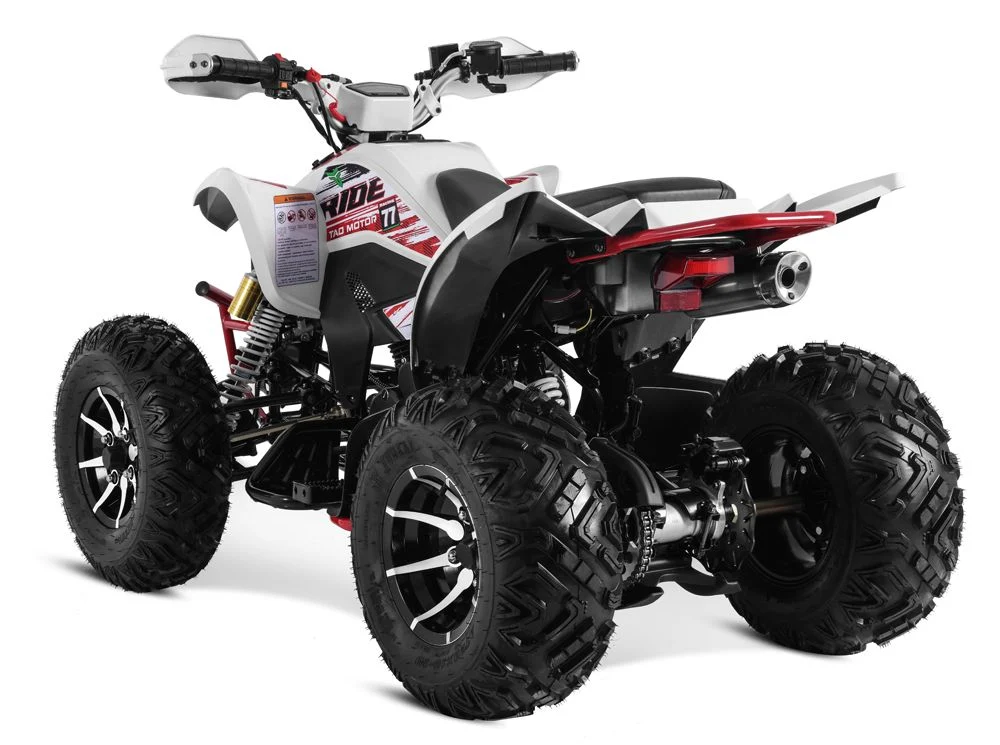 Tao Motor 2024 Latest Design 250cc Quad Bike Sport ATV