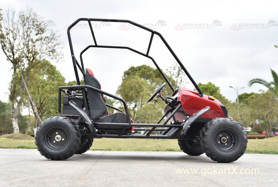 PRO Toy Game Fast 60V 2 Seats Electric Go-Kart Road Legal Dune Buggy for Sale