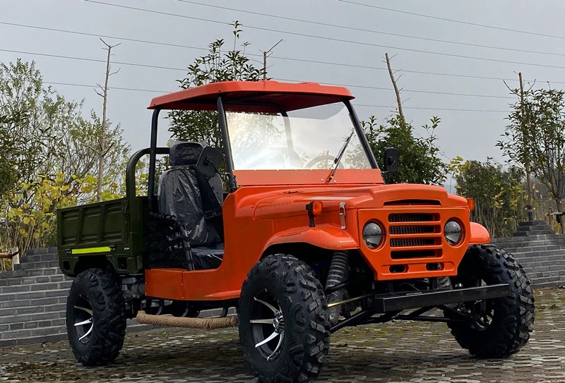 Orchard Agricultural ATV Beach Vehicle for Passenger and Cargo Farm ATV