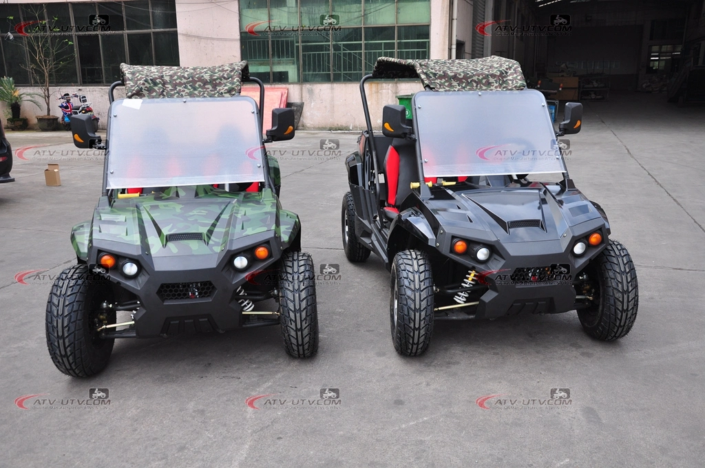 1500W 2000W 3000W 4000W 5000W Shaft Drive Electric UTV 2 Seater