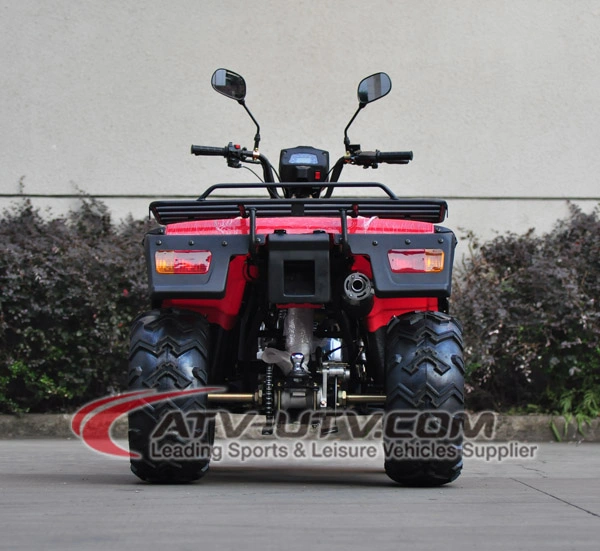 High Quality Factory OEM 200cc 250cc 300cc 400cc 500cc 4X4 Quad Bike Adult ATV