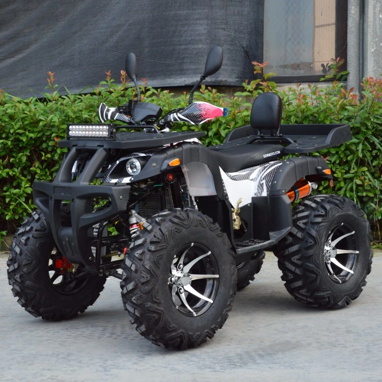 12inch Wide Alloy Wheel 250cc Powerful 4X2 ATV Quad