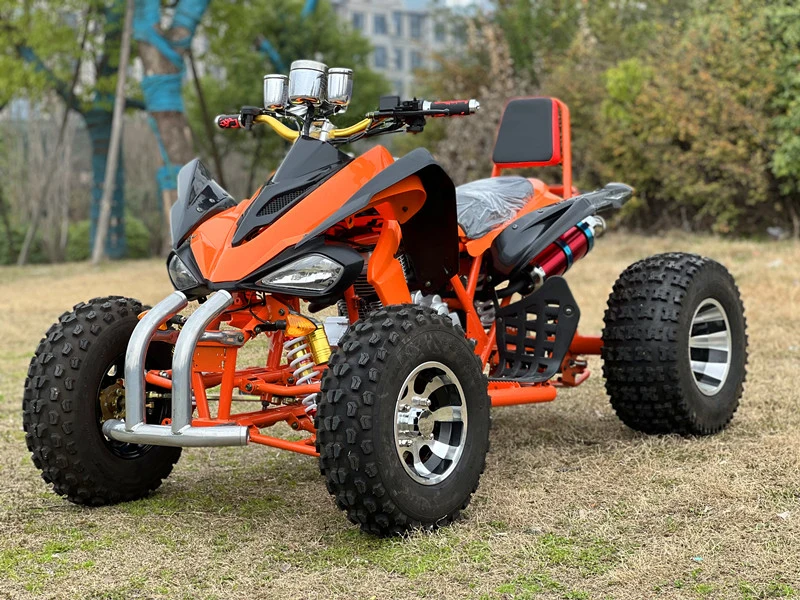 Big Tyre 250cc ATV Bike 4 Wheeler ATV Quad for Adults