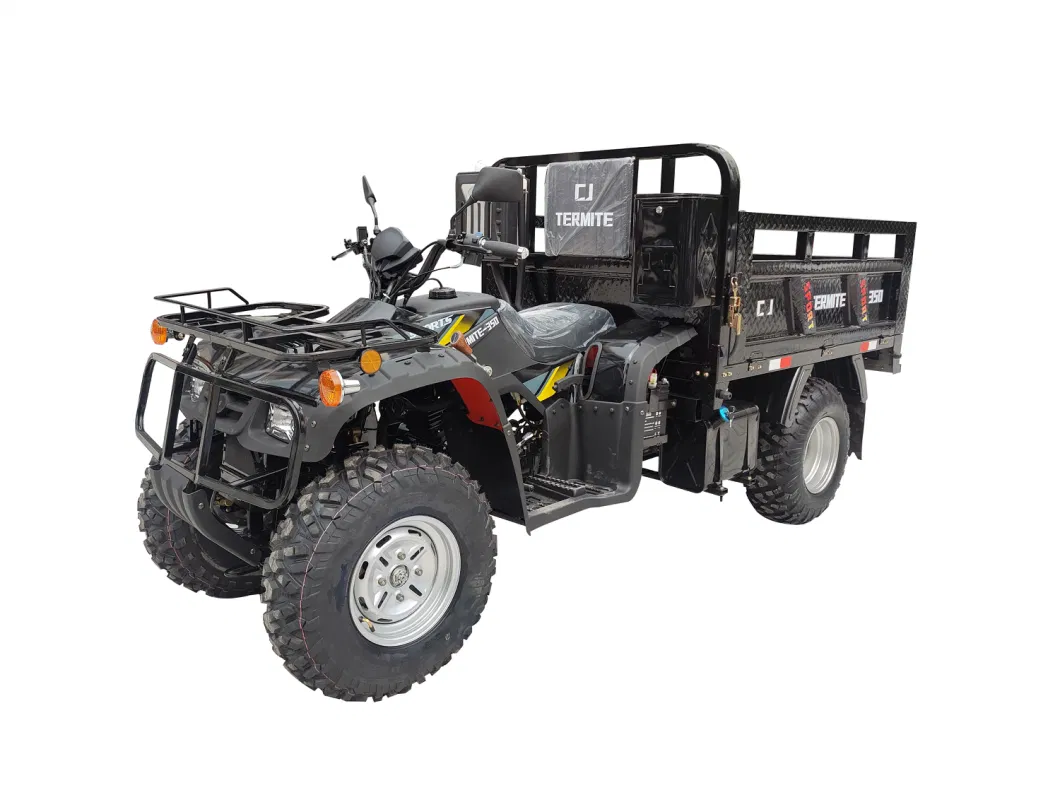 Four-Wheel Beach off-Road Vehicle/All-Terrain Vehicle/ATV Quad