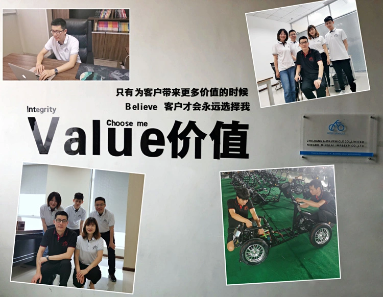 500W 48V/60V Electric Bike for Disabled and Elder People