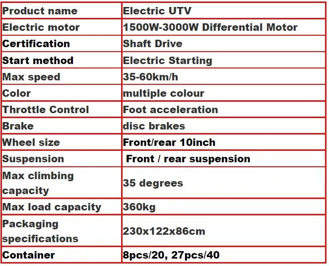 Adult Electric Mini UTV Side by Side