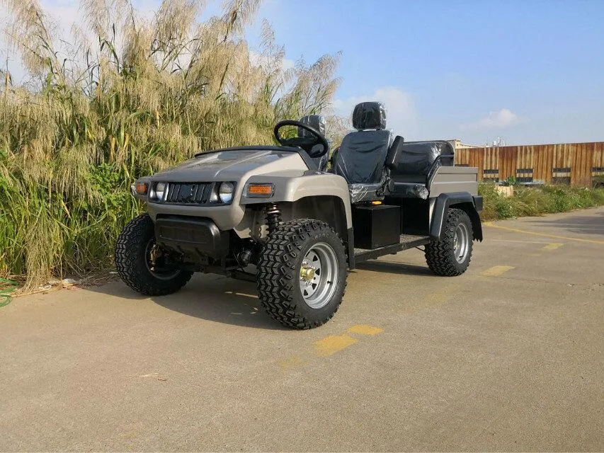 Adults Racing Electric Go Kart UTV for Sale with 4seats