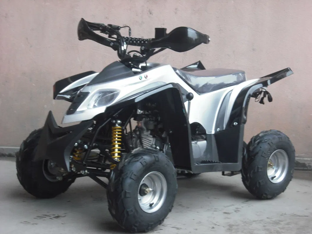 50cc, 110cc ATV 125cc Mini ATV Quads for Childre (ET-ATV007)