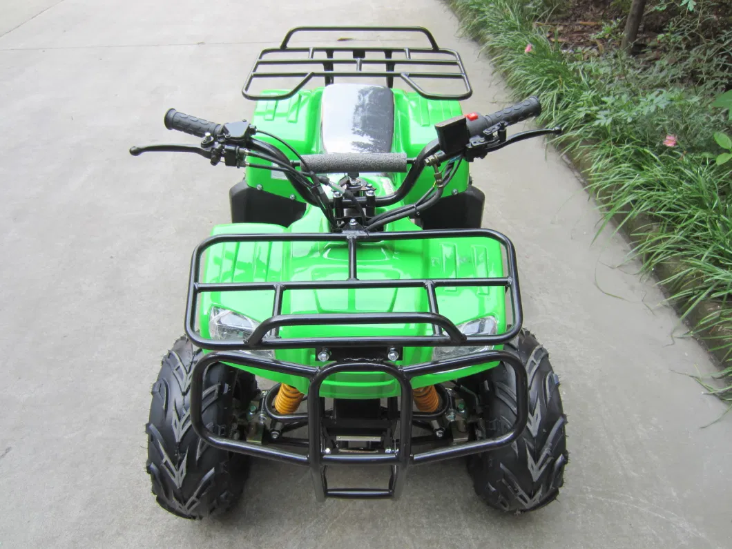 50cc-110cc ATV Quads Can with 7ah Big Electric Start Battery (ET-ATV014)