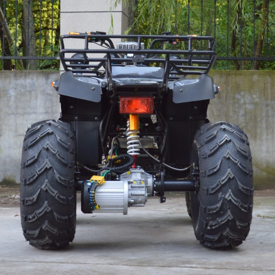 60V 2200W Electric ATV Quad Atvs All-Terrain Atvs
