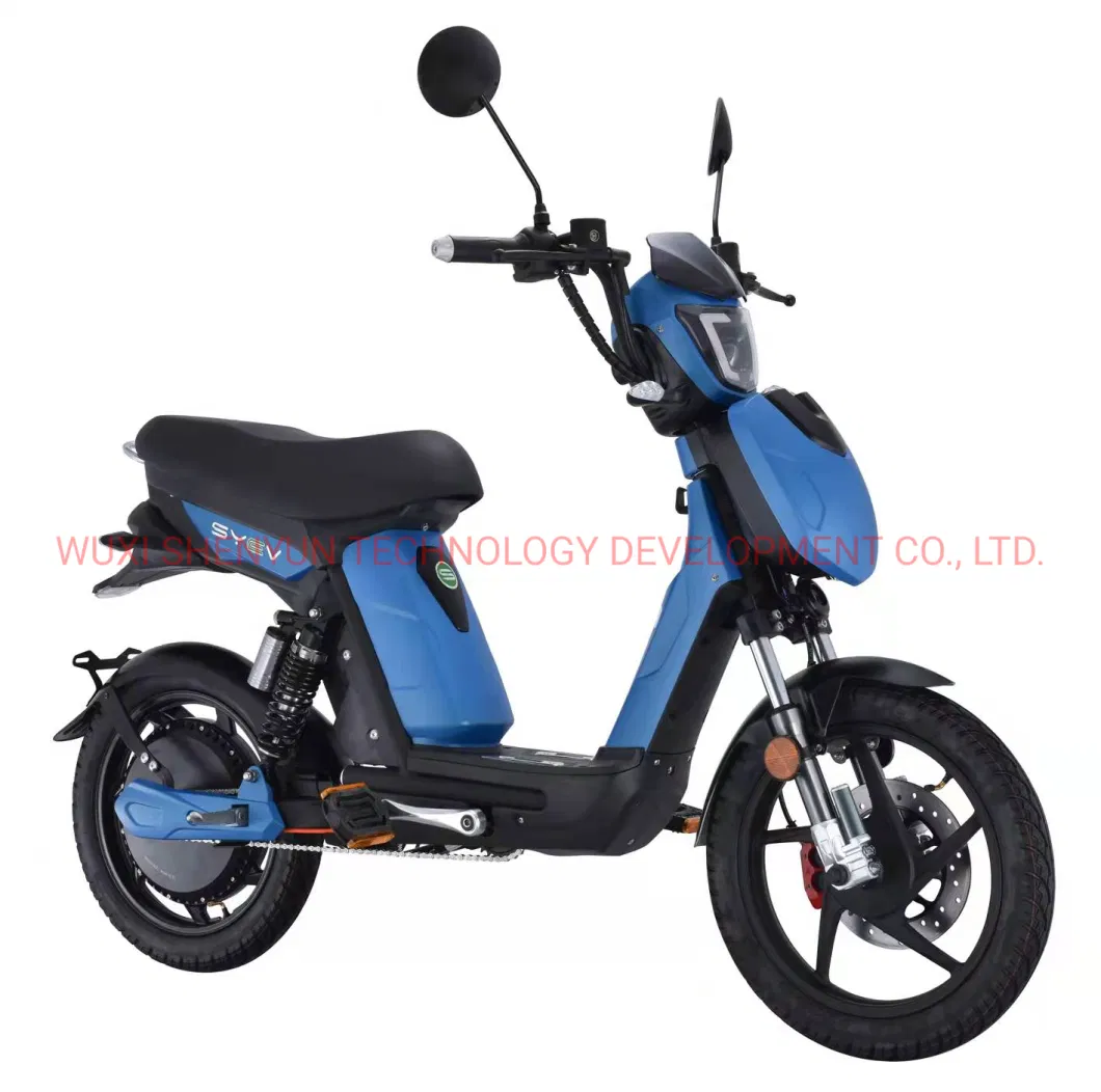 Cool Design EEC 2 Wheeled Electric Scooter Powerful 800W Electric Mobility Bike