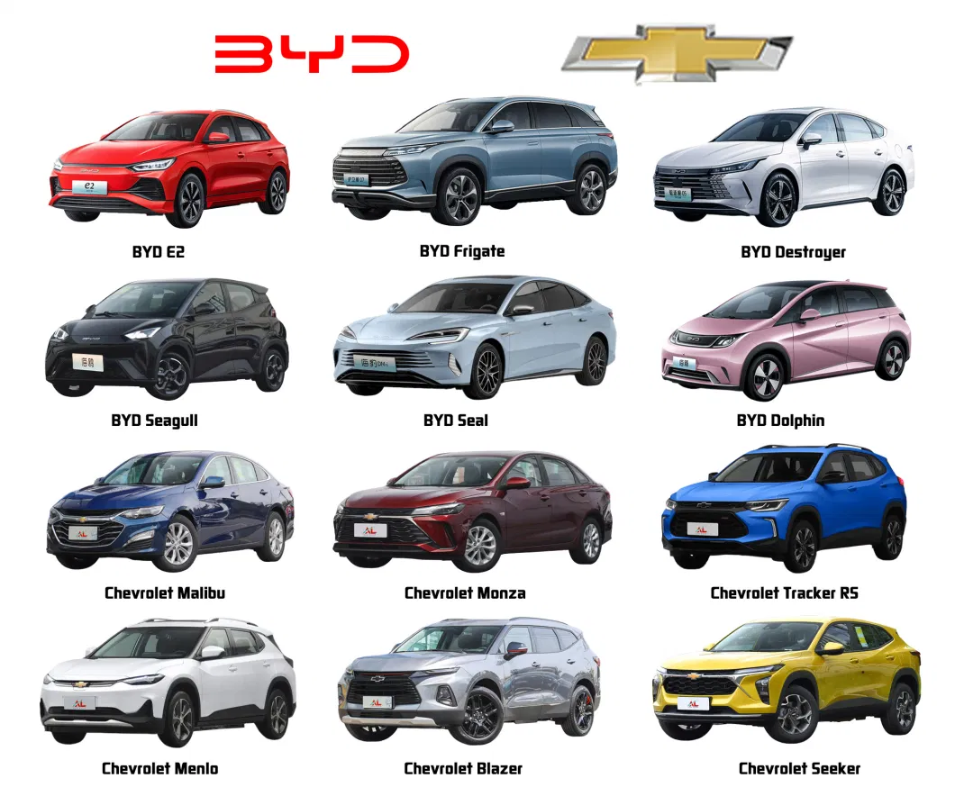2024 China Alin EEC Electric Cars Pickman Electric Pickup Truck High Speed Adult Vehicle EV Four Wheel Drive Pickup