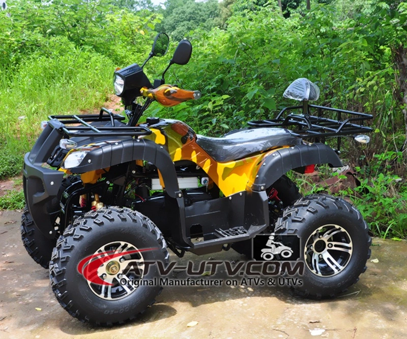 Best Selling Shaft Drive 800W/1000W 60V Adult Electric ATV