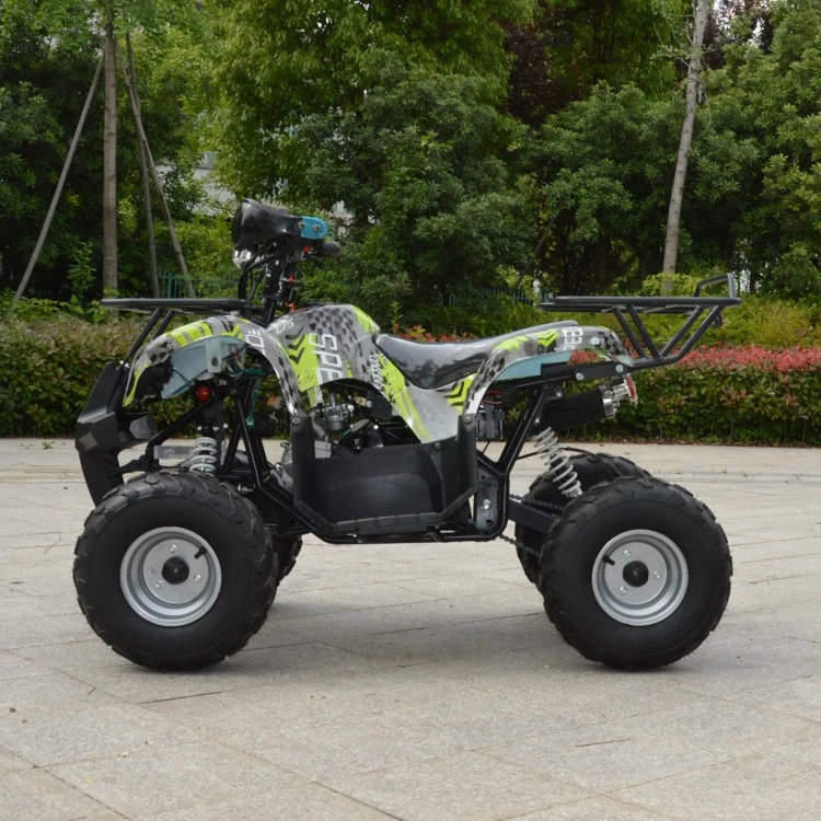 110cc 125cc ATV Quad for Adults Motorcycle 4-Stroke