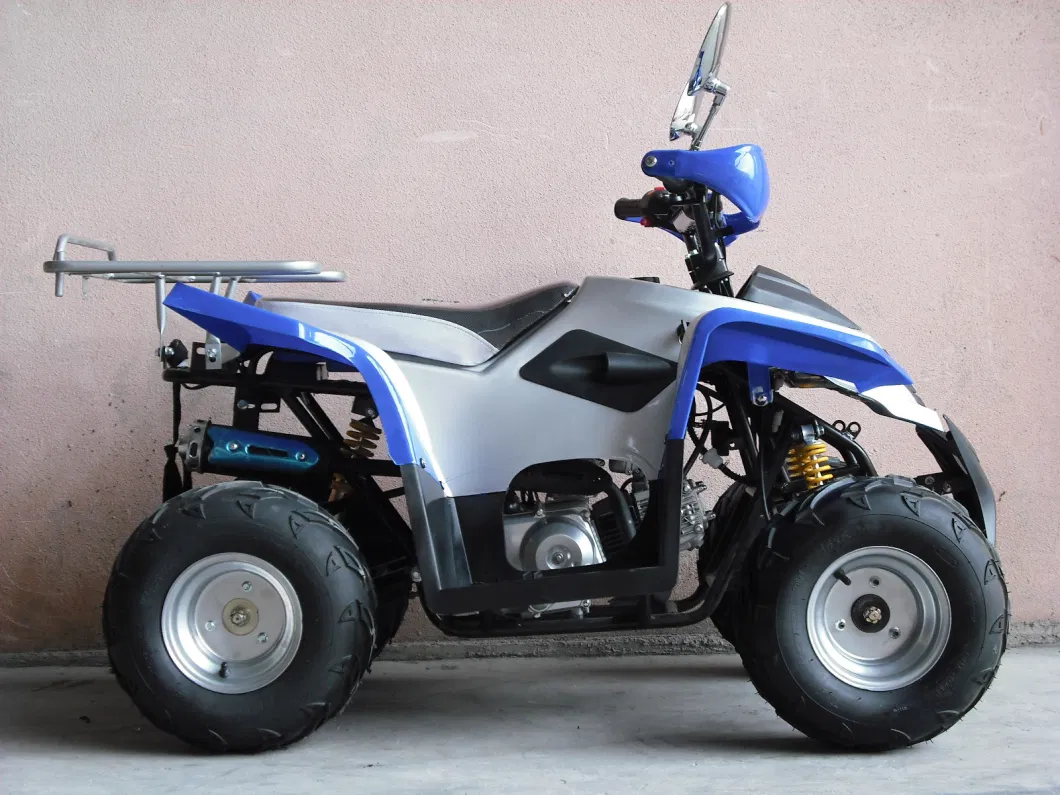 50cc, 110cc ATV 125cc Mini ATV Quads for Childre (ET-ATV007)