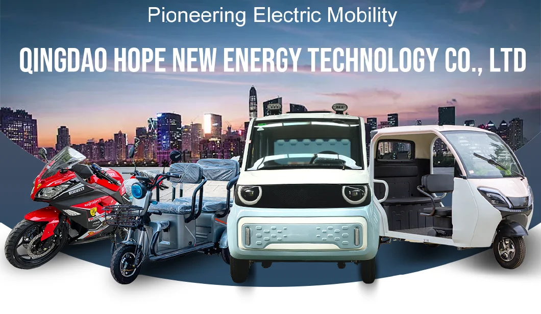 China&prime;s Cheap Adult Electric Tricycle: New Energy Three-Wheeled Vehicle
