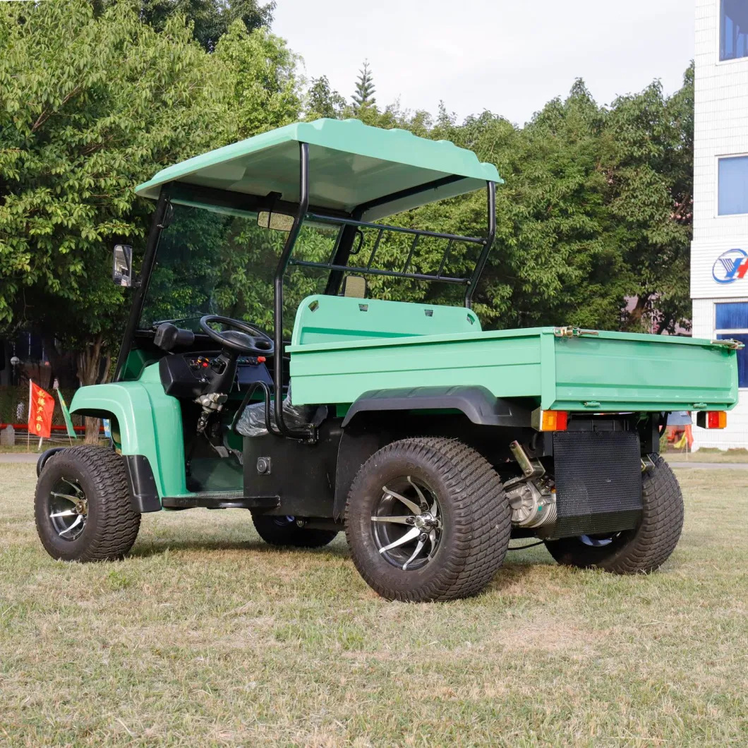 2 Seats Adult Electric UTV with Cargo Box for Sale