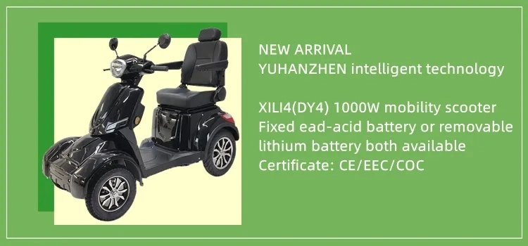 Double Seats Passenger 800W Electric Vehicle Four Wheeled Scooter with Front Basket