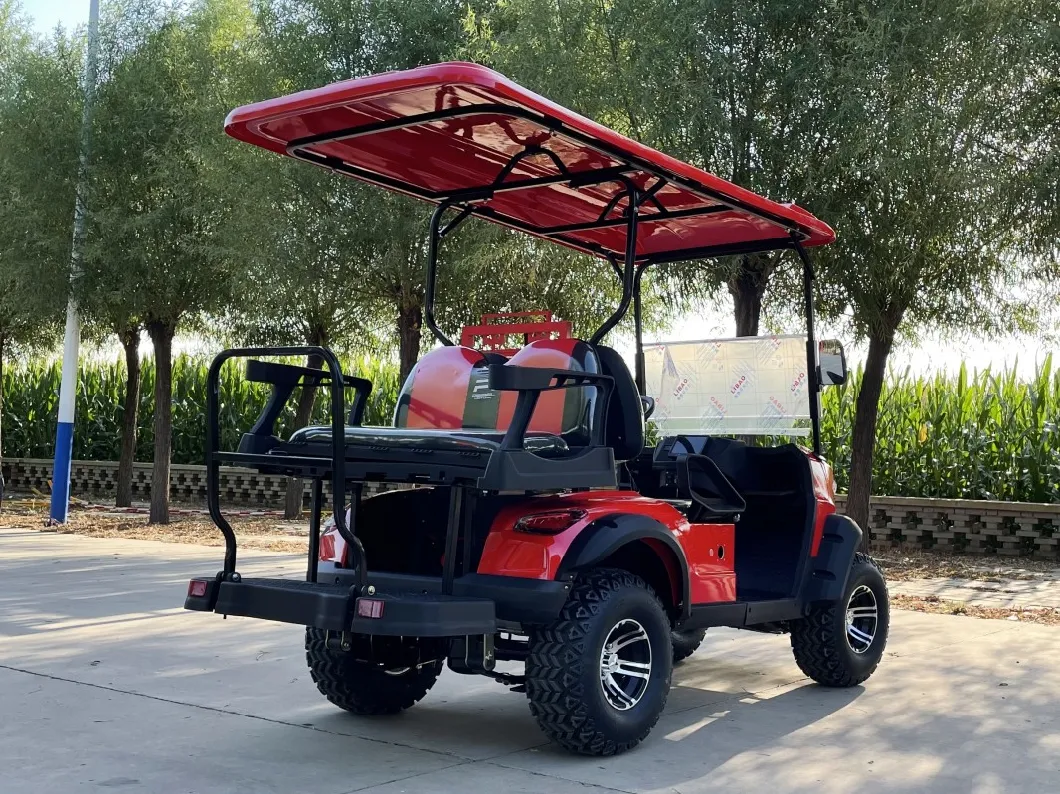 New Design Electric Brand Hunting Golf Cart 4 Seats All Terrain ATV Factory Price with Music and Folding Seat