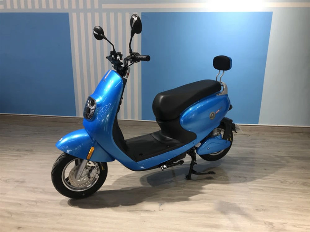 Two-Wheeled Electric Vehicle with Both Cool and Power Electric Scooter