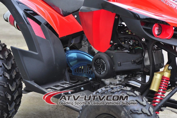 4 Wheels Motorcycle 110cc 125cc 150cc 200cc Dune Buggy ATV 250cc Quads