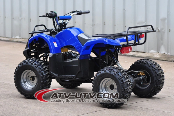 48V Shaft Drived Electric Adult ATV Quad Bike with Brushless Motor